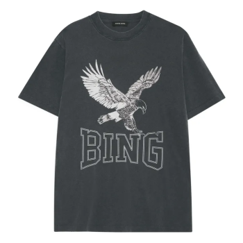 Bing18