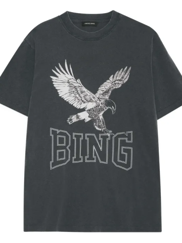 Bing18